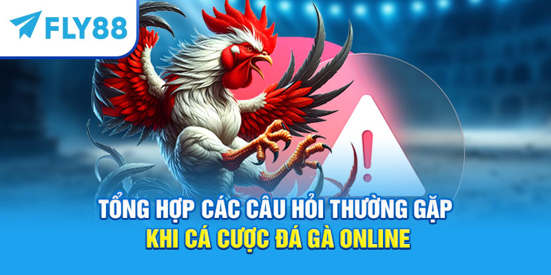 Tổng hợp các câu hỏi thường gặp khi cá cược đá gà online