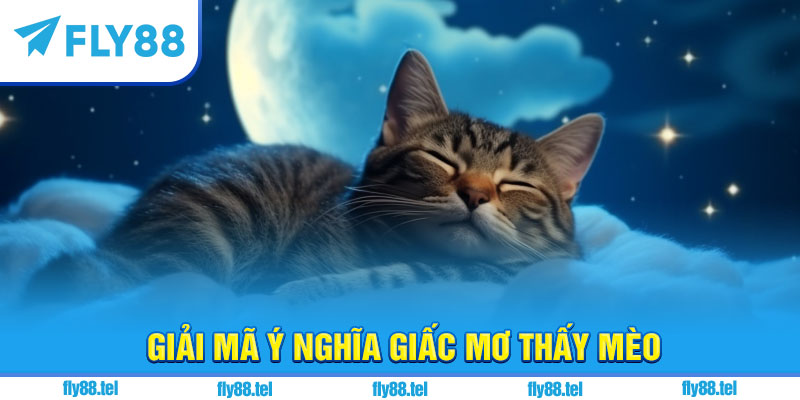 Giải mã ý nghĩa giấc mơ thấy mèo