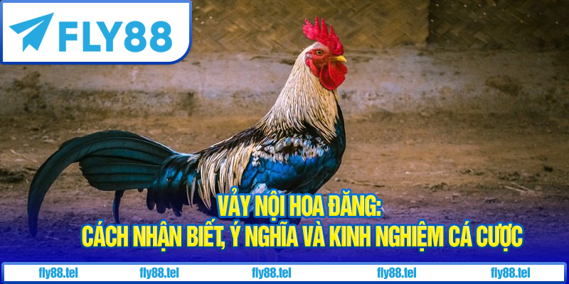 Vảy nội hoa đăng
